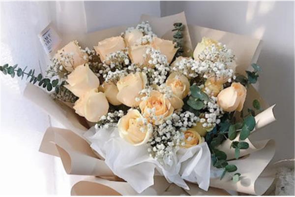向日葵和香槟玫瑰的花语和寓意,红玫瑰的花语和含义