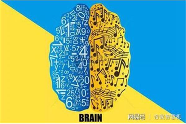 左脑聪明还是右脑聪明?右脑和左脑的区别是什么?