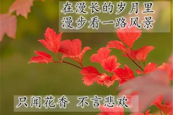 新婚祝福语句简短唯美8个字,女神节祝福语句简短唯美8个字