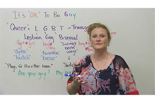 逆变器lgbt是什么意思,LGBT是什么意思?