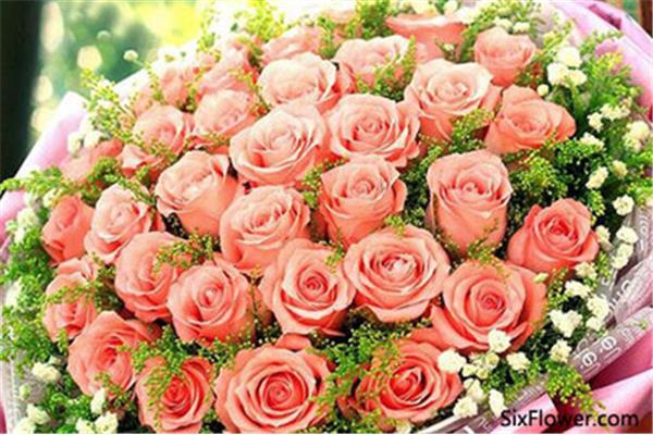 红色玫瑰花的花语是什么,11粉色玫瑰花的花语是什么
