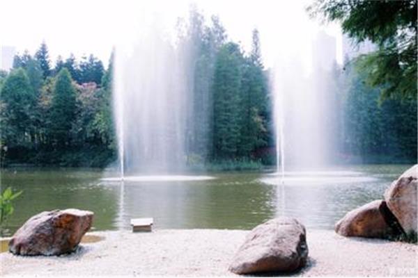 喷泉景观描述,一段描写喷泉的优美文字