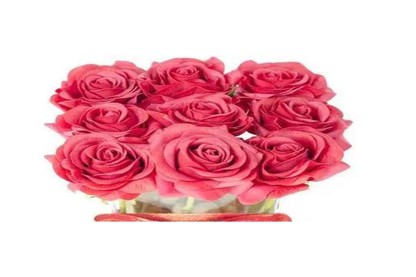 玫瑰每种颜色的含义是什么?各色玫瑰的花语是什么?
