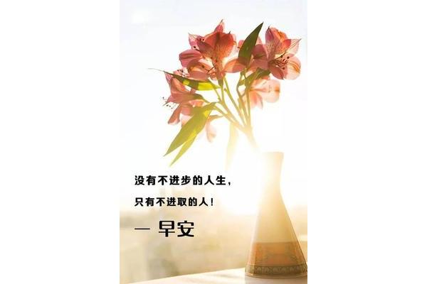 每天说一句正能量的话,2024心态早上好正能量的话