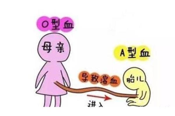 a型血寿命短是真的吗